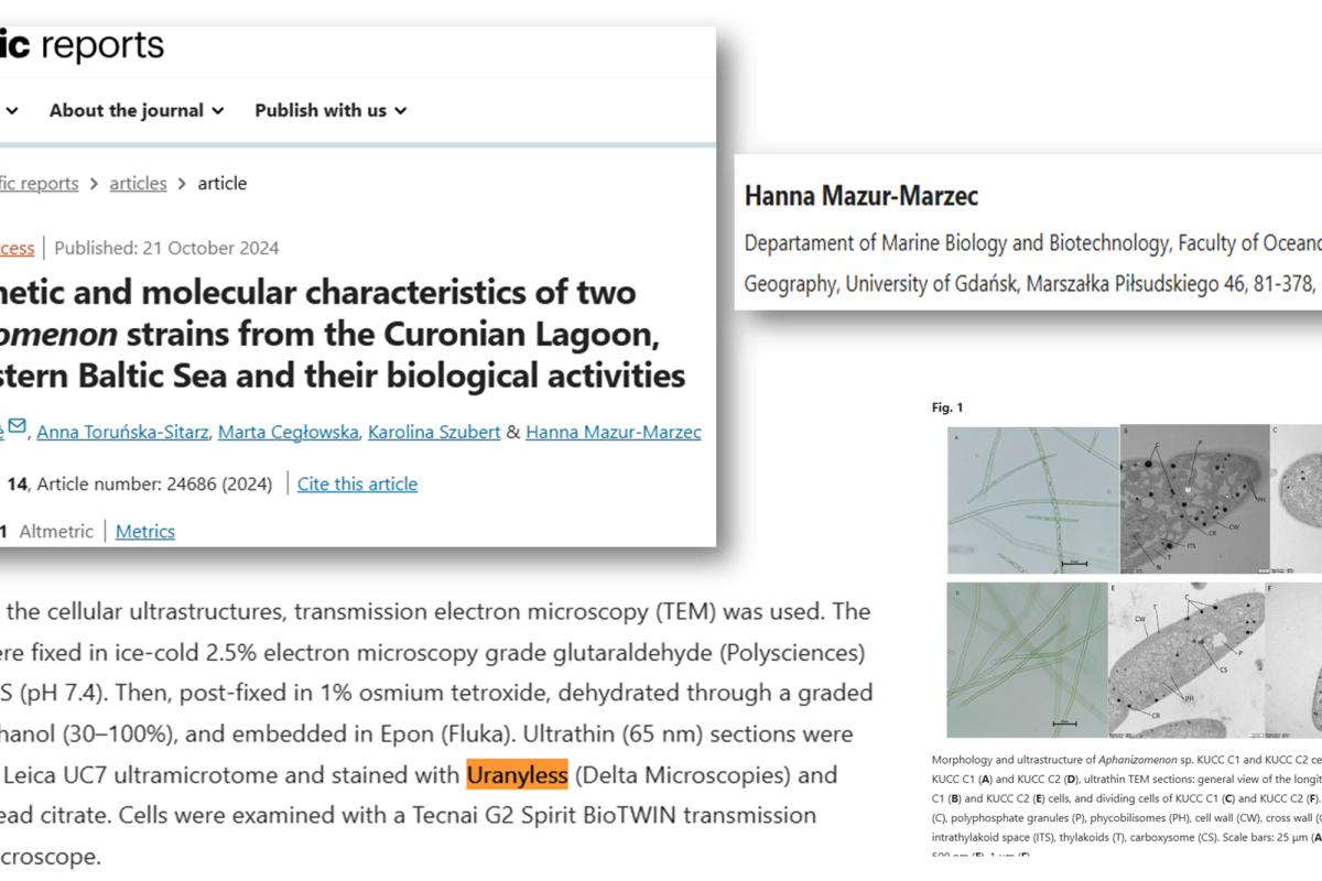 document where we can find an uranyless publications for a stain manipulation