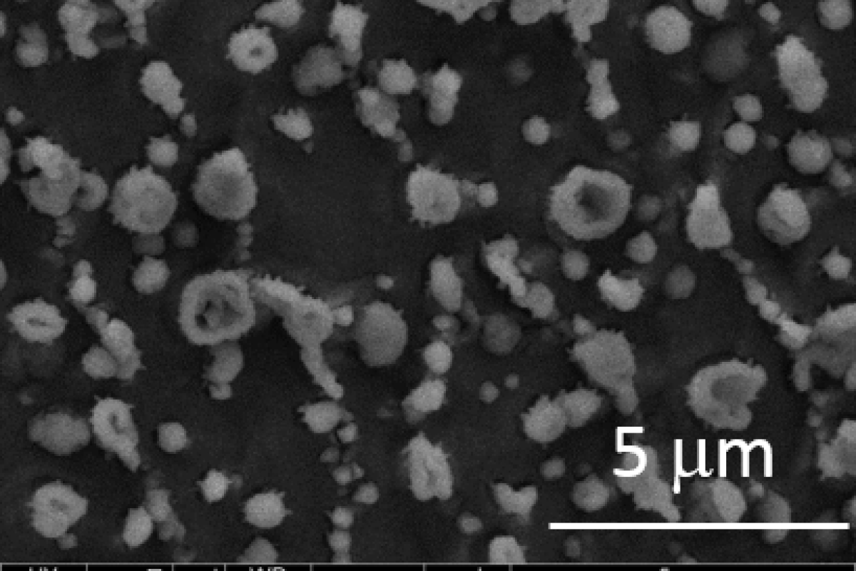 Polymersome, Observation Microscopy Scanning in Freeze Mod. Photo: The Toulouse Laboratory IMRCP, team Anne-Françoise Mingotaud